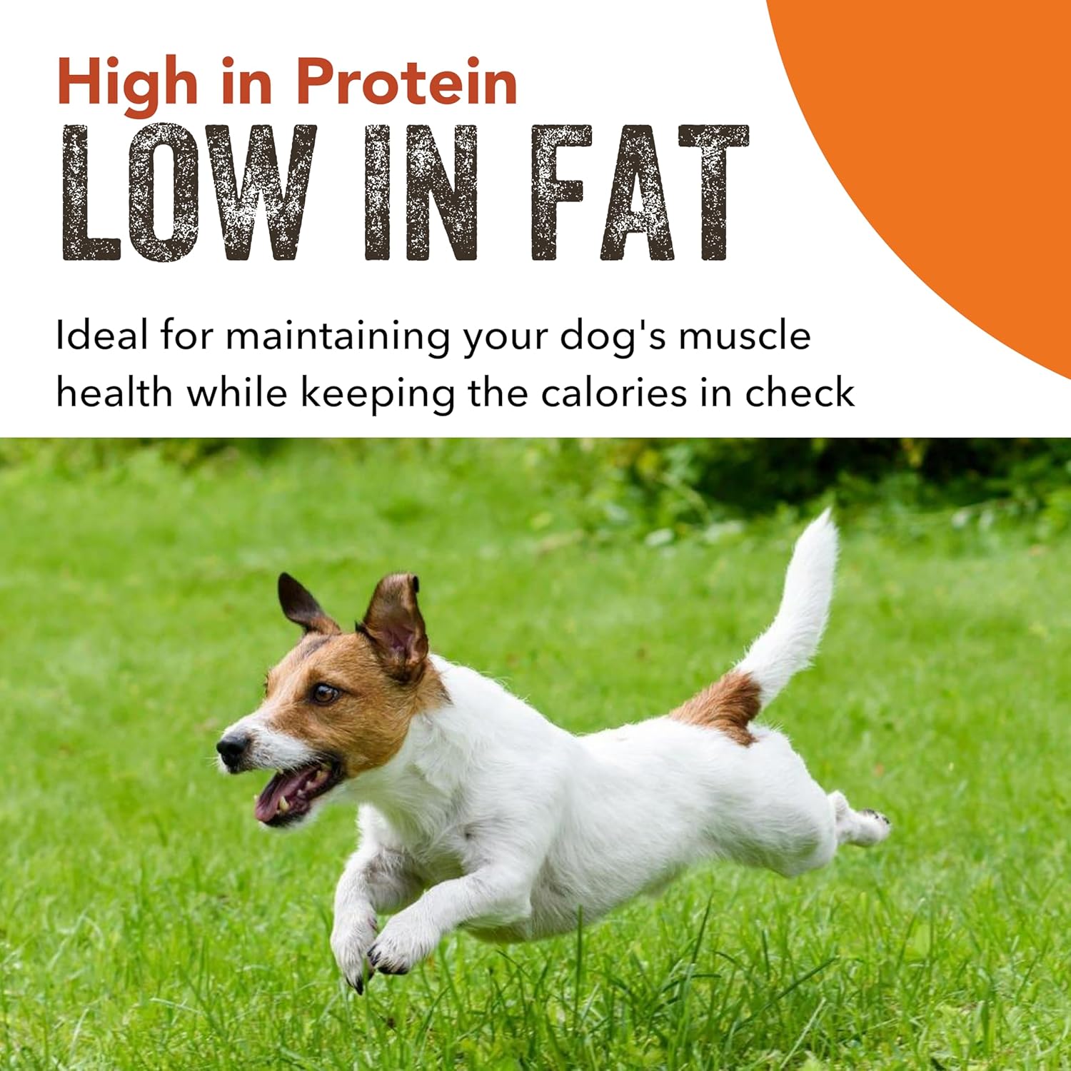 Low Fat Dog Treats