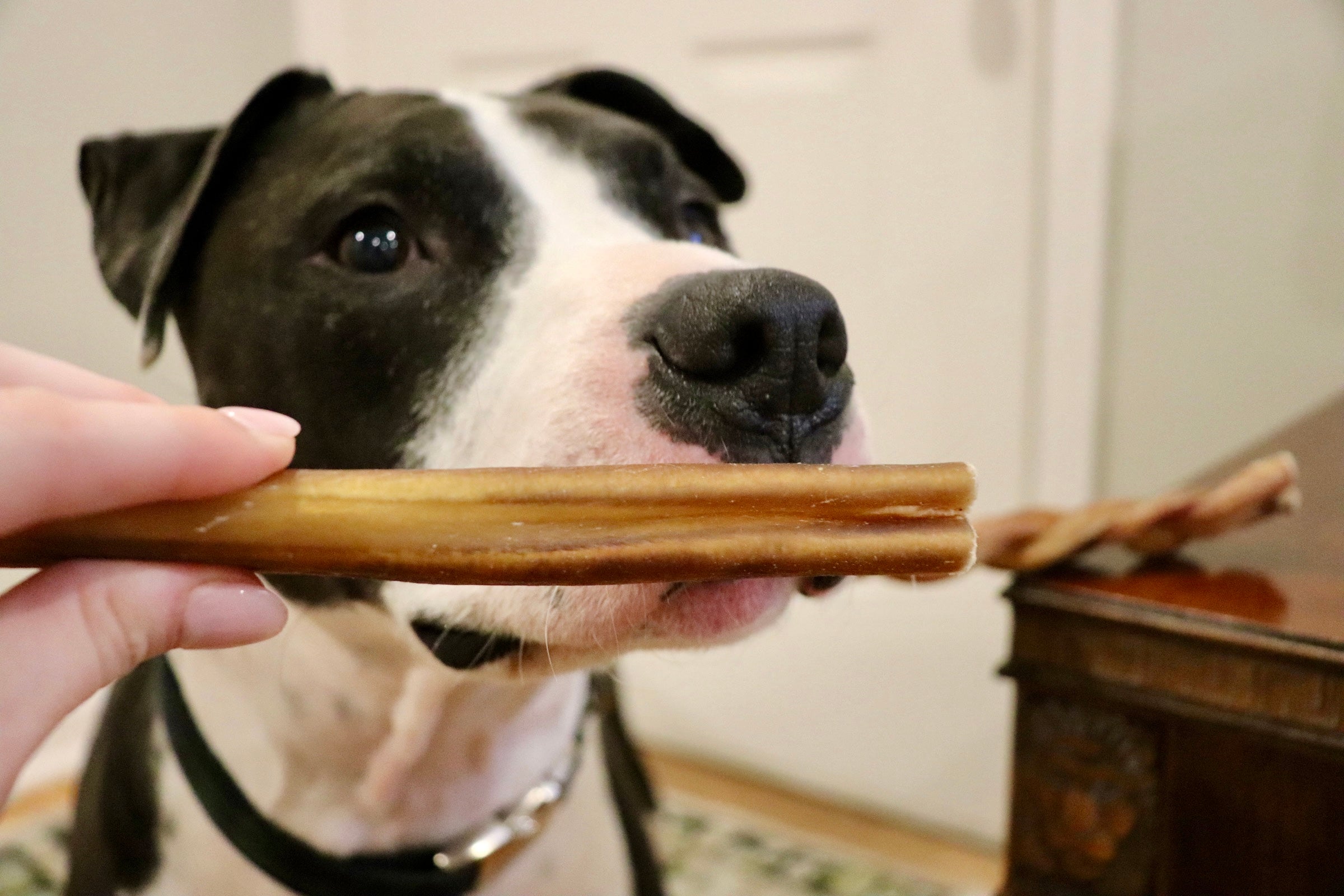 6 Inch Bully Sticks, 20 count