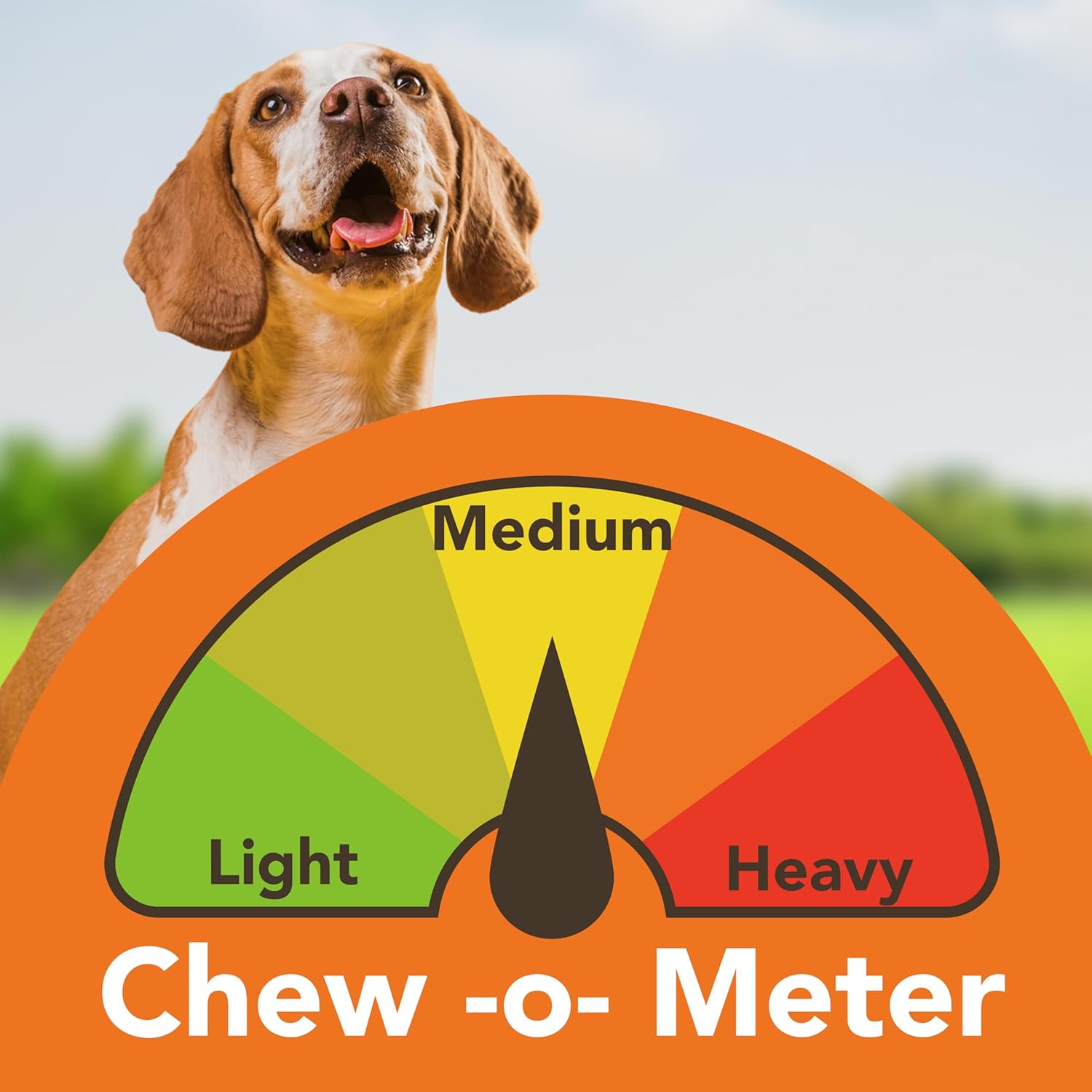 medium to aggressive chewer