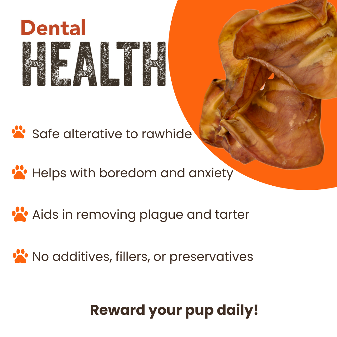 Dental Health, Removes Plaque and Tarter
