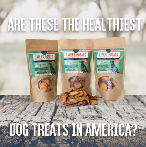Are sweet potato dog treats the healthiest dog treats in America? - Gaines Family Farmstead