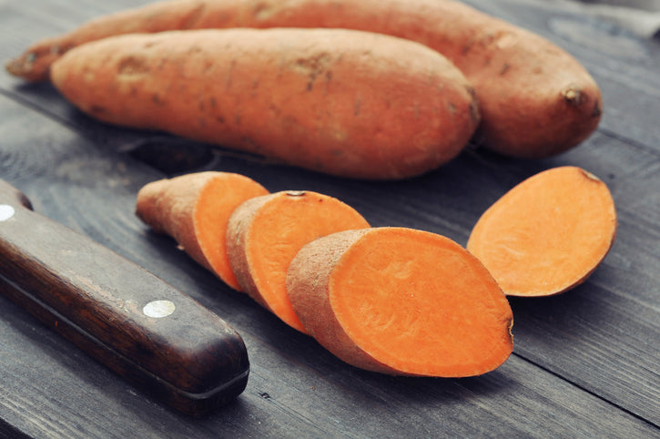 Do You Need to Include Fiber in Your Dog's Diet? - Gaines Family Farmstead