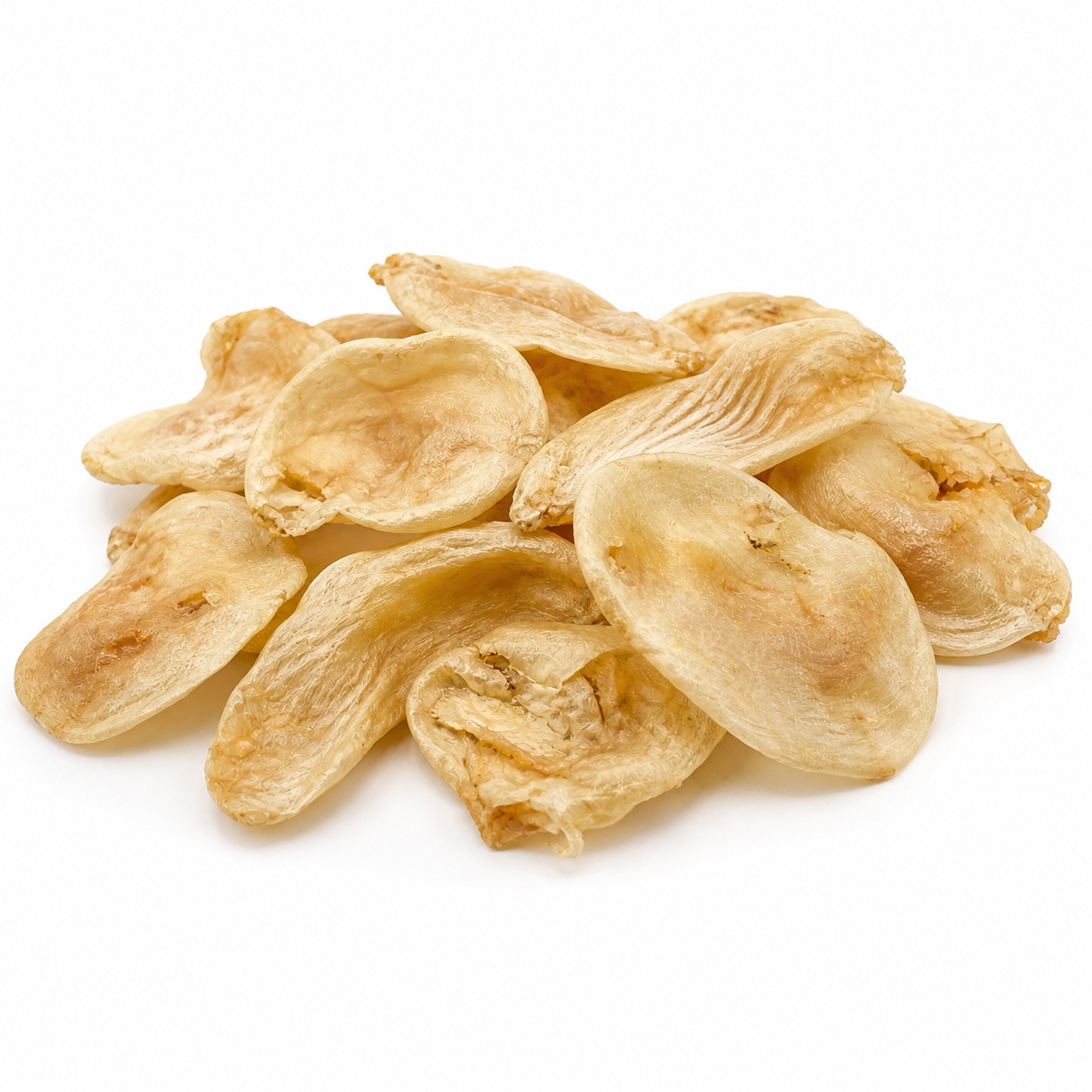 Carp Bladders