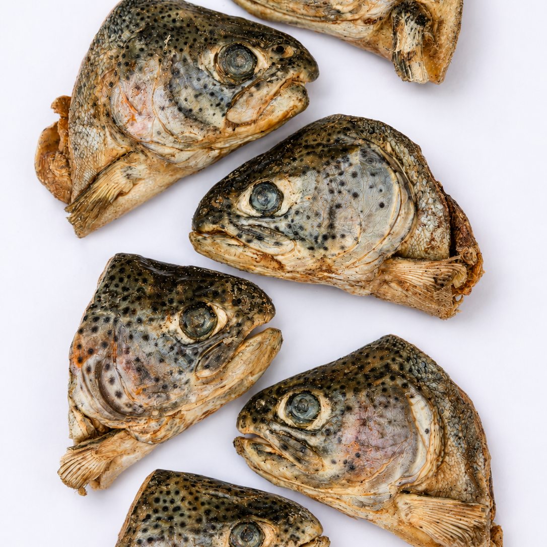 Freeze-dried rainbow trout half heads arranged on a white background