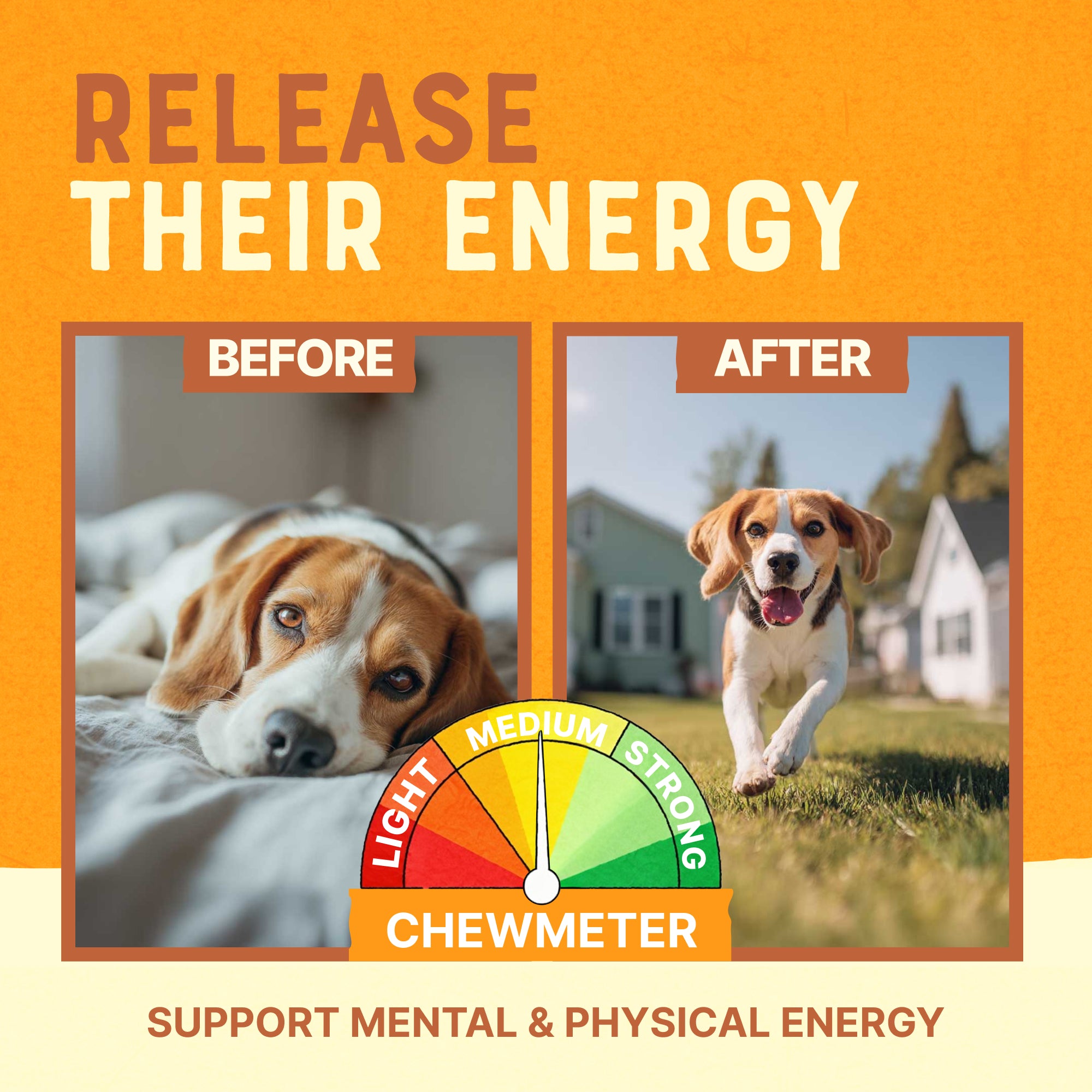 Before-and-after dog photos in a pig ear enrichment graphic