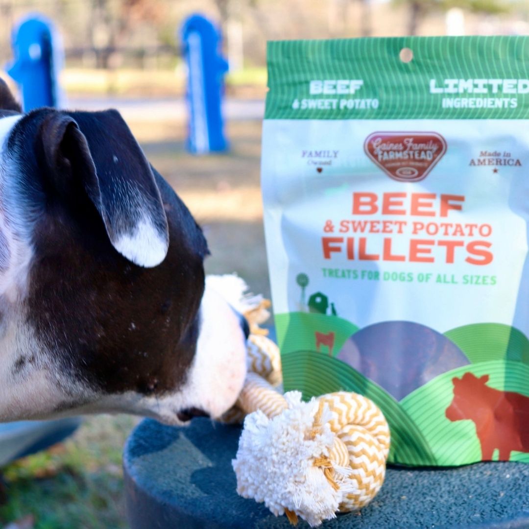 Dog beside a bag of beef and sweet potato fillets