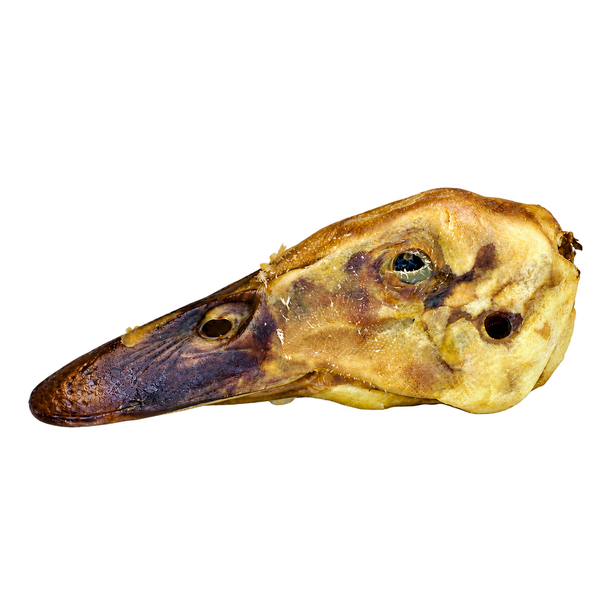 Single dried duck head dog treat