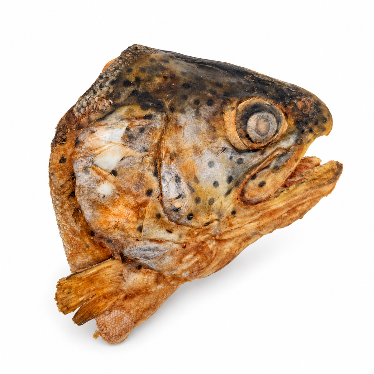 Single freeze-dried rainbow trout half head